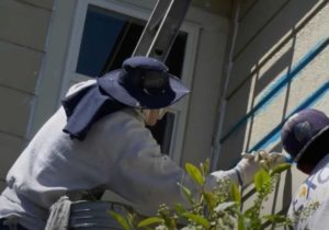 painter applying primer to siding of a home