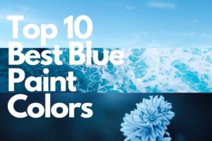 Title Page: three rows of different blue colored layers: ocean, sky, and a flower with text title overlay reading: Top 10 best blue paint colors
