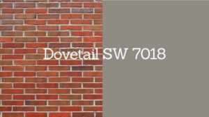 dovetail paint swatch next to brick with swatch title