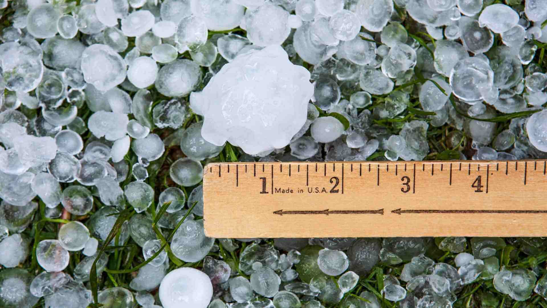 a bunch of hail on a bed of grass being measured with a ruler
