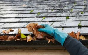 A hand cleaning out gutters by grabbing a bunch of leaves with gloves on
