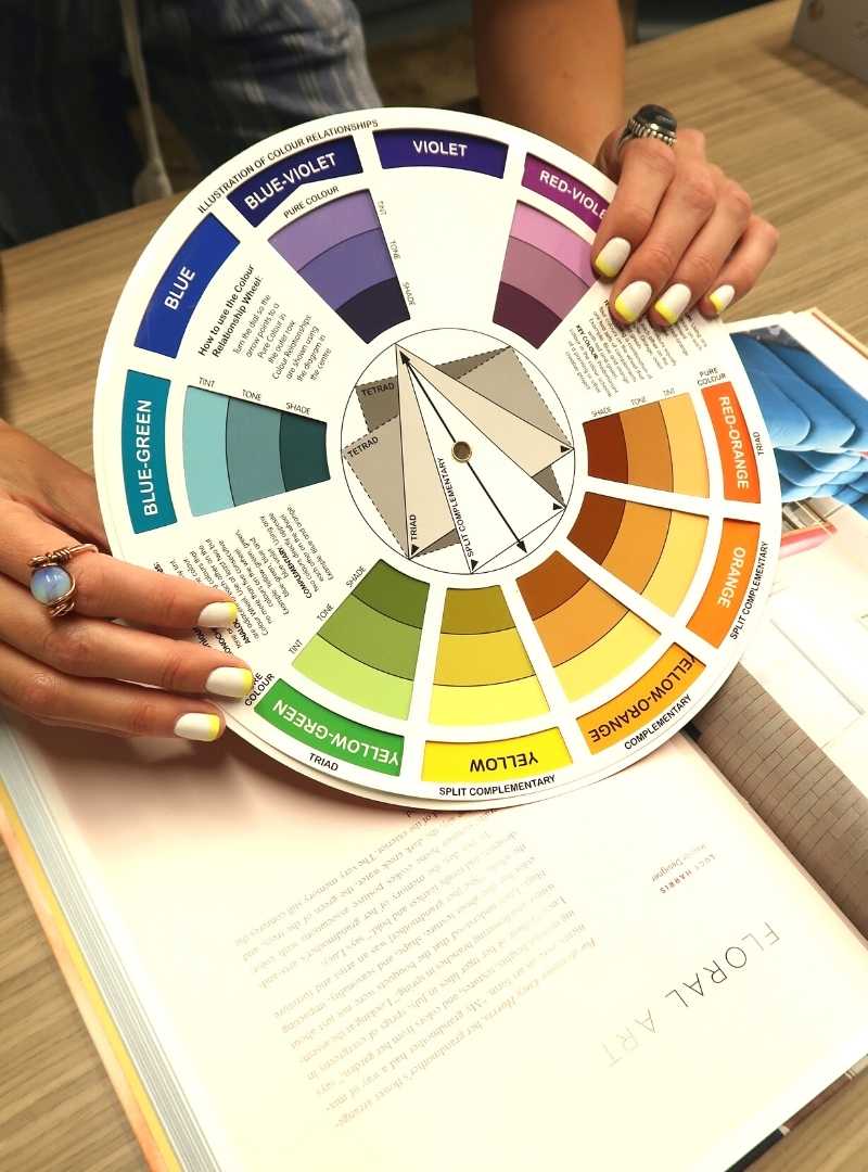 color consultant holding up a color wheel