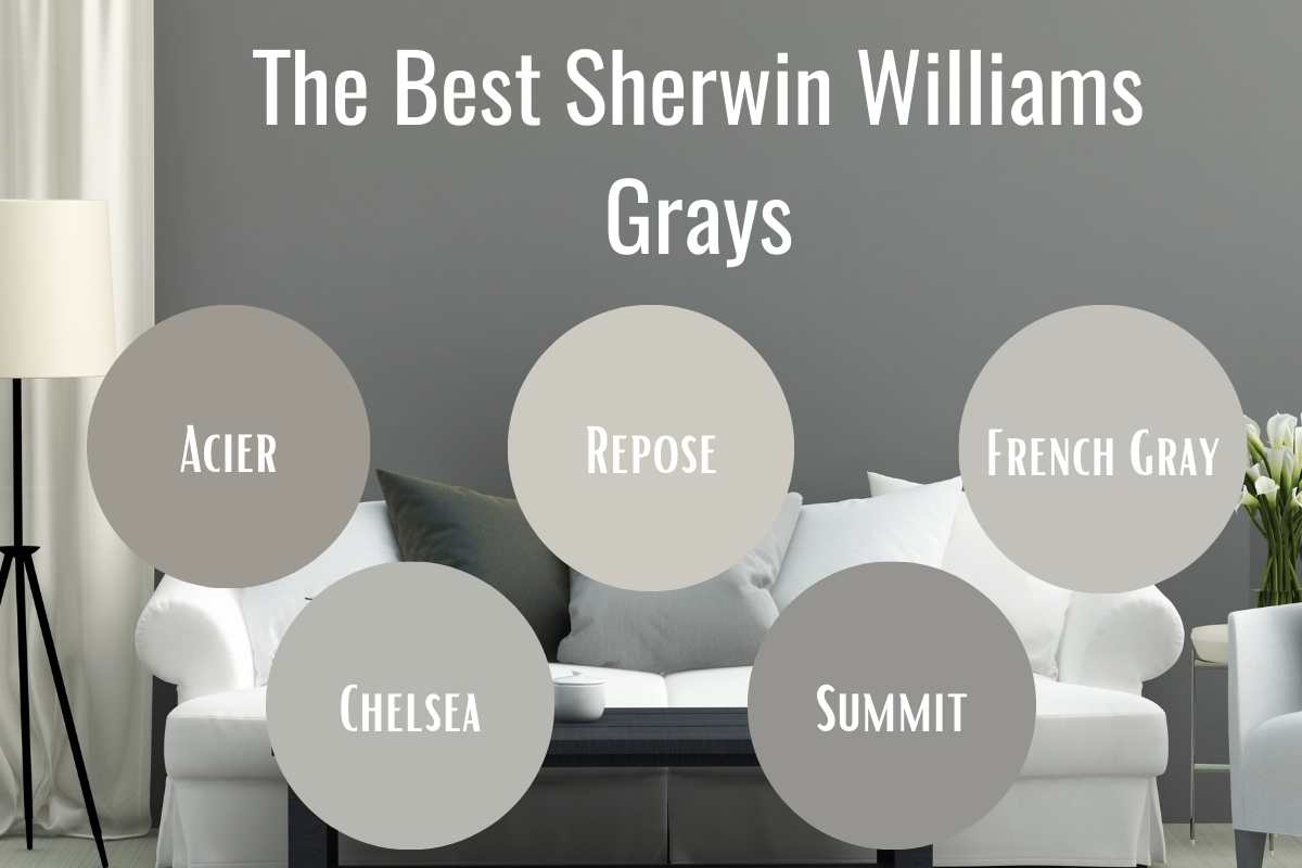 image of a gray wall with color samples of each of the best Sherwin Williams grays and a title reading: the best sherwin williams grays