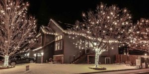 professional lights installation of white lights in trees and a roofline