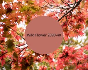 image of red leaves with a color swatch of benjamin moore's willdflower