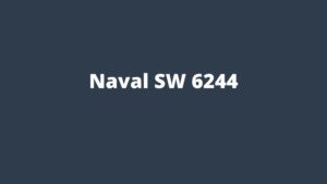 Naval SW 6244 Color Swatch