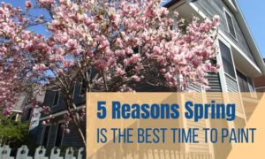 photo of flowers blooming in front of a home with title reading: 5 reasons spring is the best time to paint your home